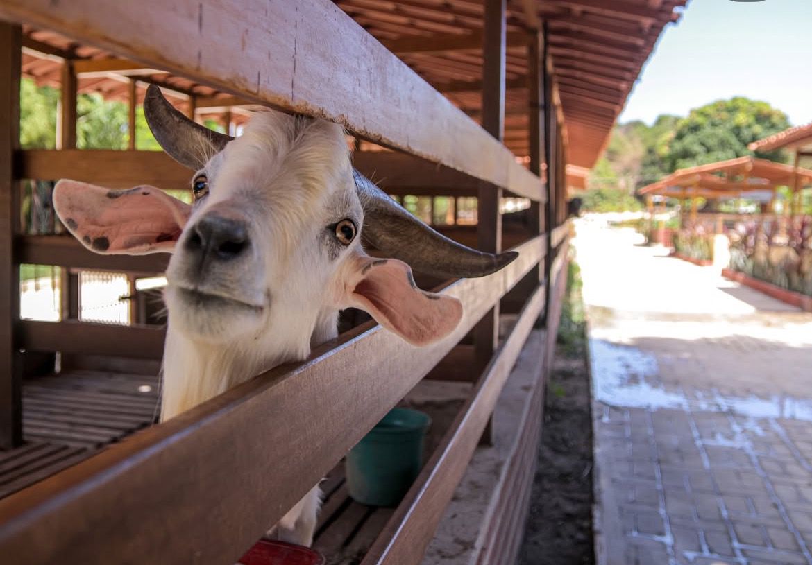 WhatsApp Image 2025-06-30 at 10.22.55 (3)