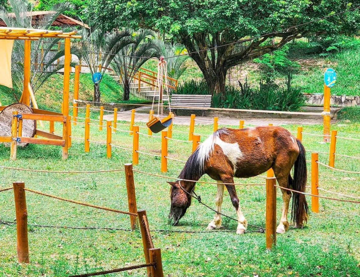 WhatsApp Image 2025-06-30 at 10.22.55